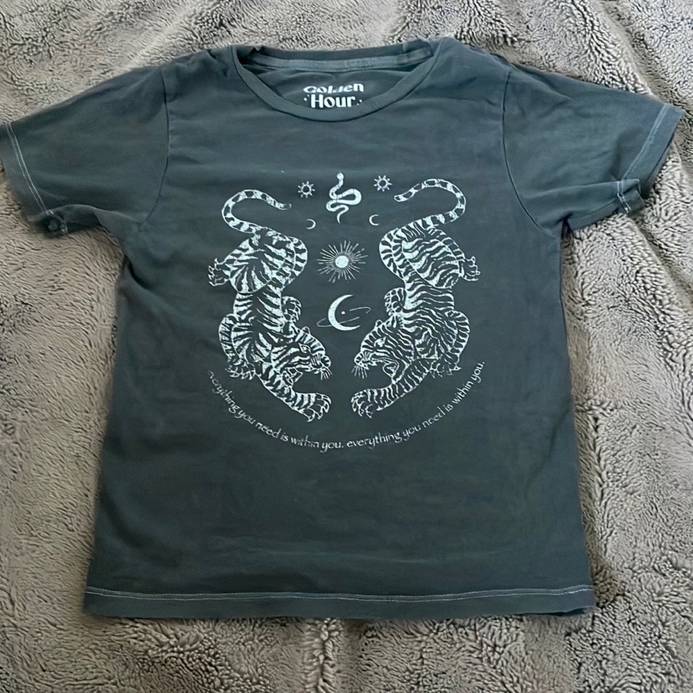 Pacsun tee shirt. size xs. color grey